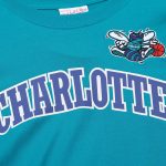 mens charlotte hornets mitchell  ness teal hardwood classics nights premium t-shirt – Genuine NBA Hats & Jerseys for Fans