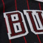 women8217s chicago bulls scottie pippen mitchell amp ness x dannijo black fashion cropped basketball jersey – Genuine NBA Hats & Jerseys for Fans